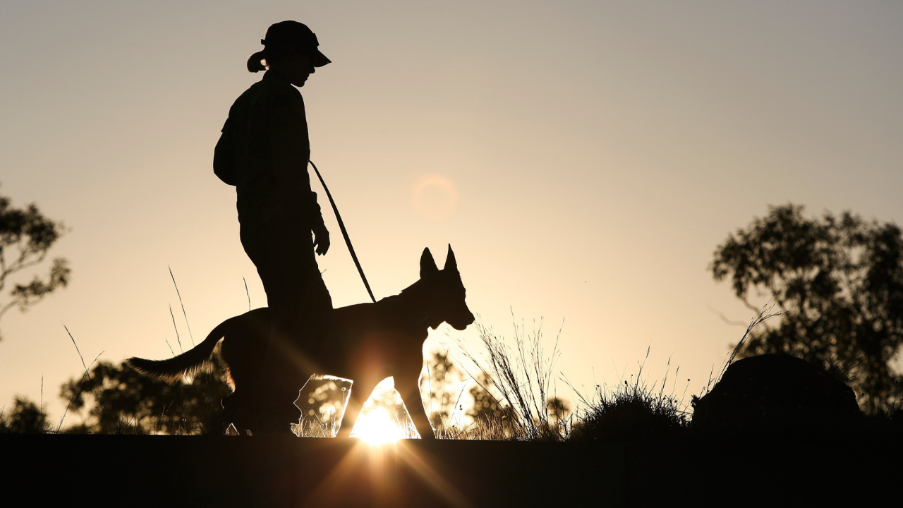 Woman walking dog 